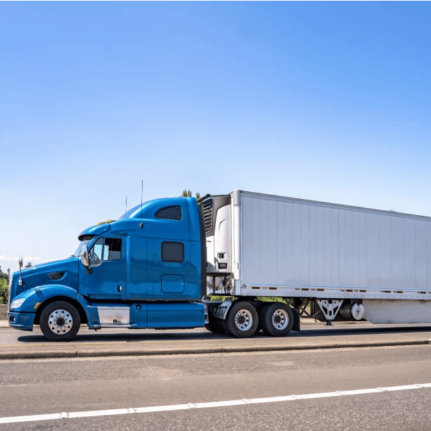 Shutterstock_1909903183